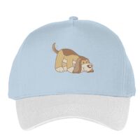 Classic 5-panel snapback (6007) Vignette