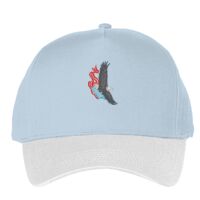 Classic 5-panel snapback (6007) Vignette