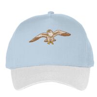 Classic 5-panel snapback (6007) Vignette