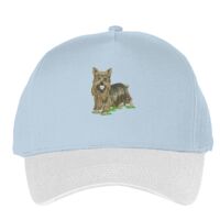 Classic 5-panel snapback (6007) Vignette