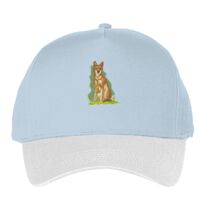 Classic 5-panel snapback (6007) Vignette