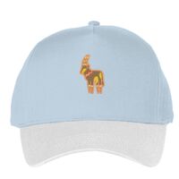 Classic 5-panel snapback (6007) Vignette