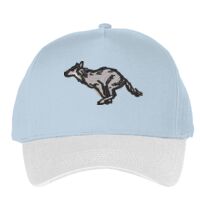 Classic 5-panel snapback (6007) Vignette