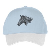 Classic 5-panel snapback (6007) Vignette