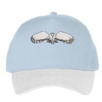 Classic 5-panel snapback (6007) Vignette