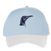 Classic 5-panel snapback (6007) Vignette