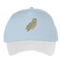 Classic 5-panel snapback (6007) Vignette