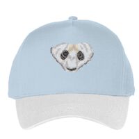 Classic 5-panel snapback (6007) Vignette