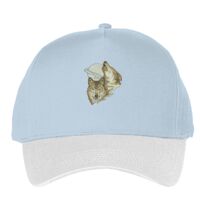 Classic 5-panel snapback (6007) Vignette