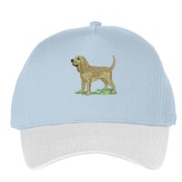 Classic 5-panel snapback (6007) Vignette