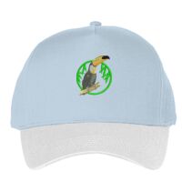 Classic 5-panel snapback (6007) Vignette