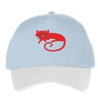 Classic 5-panel snapback (6007) Vignette