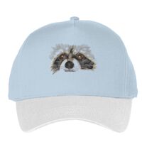 Classic 5-panel snapback (6007) Vignette