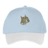 Classic 5-panel snapback (6007) Vignette