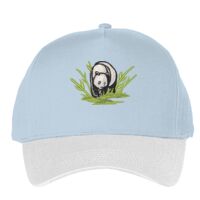 Classic 5-panel snapback (6007) Vignette