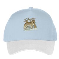 Classic 5-panel snapback (6007) Vignette