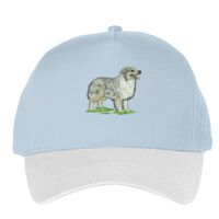 Classic 5-panel snapback (6007) Vignette