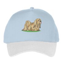 Classic 5-panel snapback (6007) Vignette