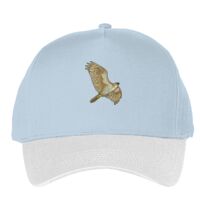 Classic 5-panel snapback (6007) Vignette