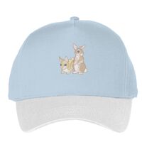 Classic 5-panel snapback (6007) Vignette