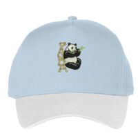 Classic 5-panel snapback (6007) Vignette