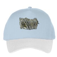 Classic 5-panel snapback (6007) Vignette