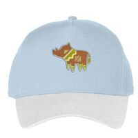 Classic 5-panel snapback (6007) Vignette