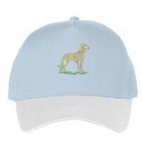 Classic 5-panel snapback (6007) Vignette