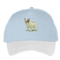 Classic 5-panel snapback (6007) Vignette