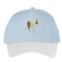 Classic 5-panel snapback (6007) Vignette