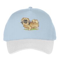 Classic 5-panel snapback (6007) Vignette