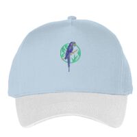 Classic 5-panel snapback (6007) Vignette