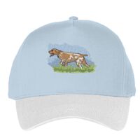 Classic 5-panel snapback (6007) Vignette