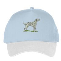 Classic 5-panel snapback (6007) Vignette