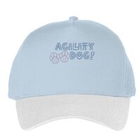 Classic 5-panel snapback (6007) Vignette