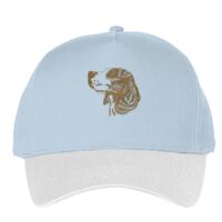 Classic 5-panel snapback (6007) Vignette