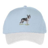 Classic 5-panel snapback (6007) Vignette