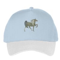 Classic 5-panel snapback (6007) Vignette