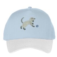 Classic 5-panel snapback (6007) Vignette