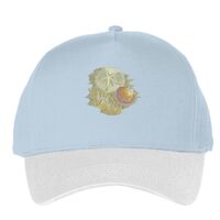 Classic 5-panel snapback (6007) Vignette