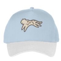 Classic 5-panel snapback (6007) Vignette