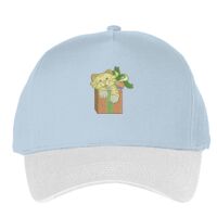 Classic 5-panel snapback (6007) Vignette