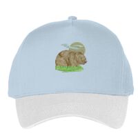 Classic 5-panel snapback (6007) Vignette