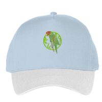 Classic 5-panel snapback (6007) Vignette