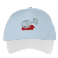 Classic 5-panel snapback (6007) Vignette