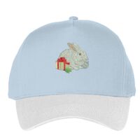 Classic 5-panel snapback (6007) Vignette