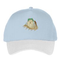 Classic 5-panel snapback (6007) Vignette