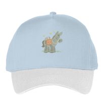 Classic 5-panel snapback (6007) Vignette