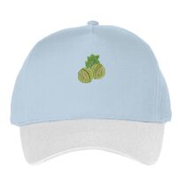 Classic 5-panel snapback (6007) Vignette