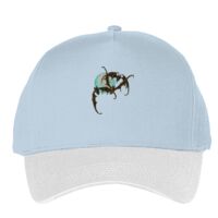 Classic 5-panel snapback (6007) Vignette